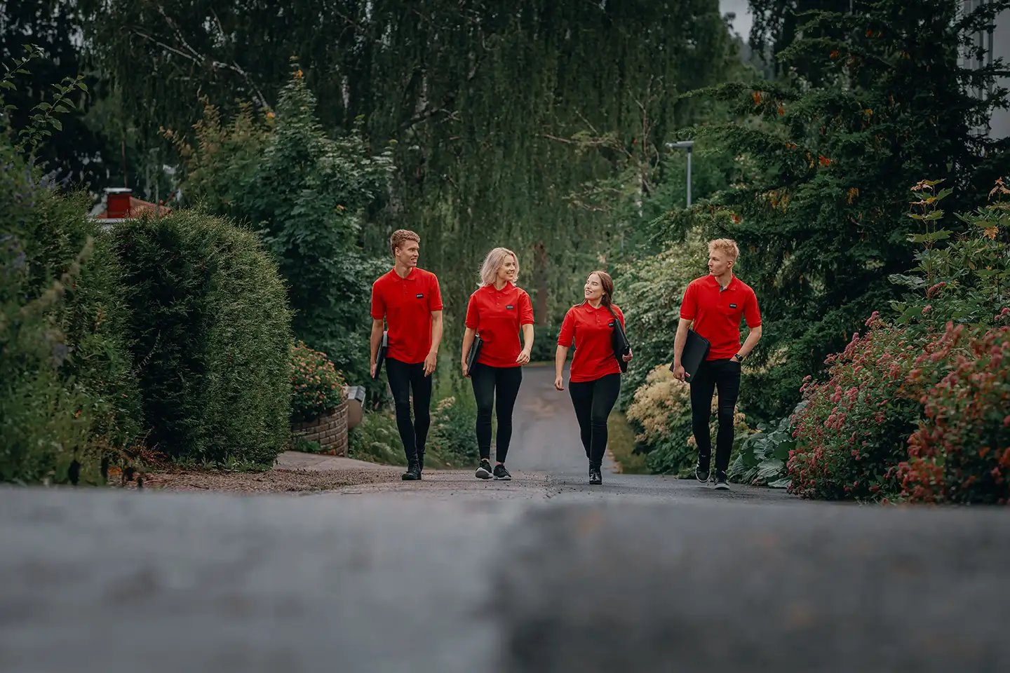 No Experience Needed