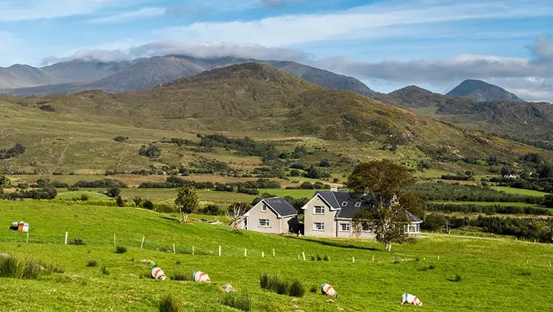 Detached countryside home surrounded by green fields with mountains in the background