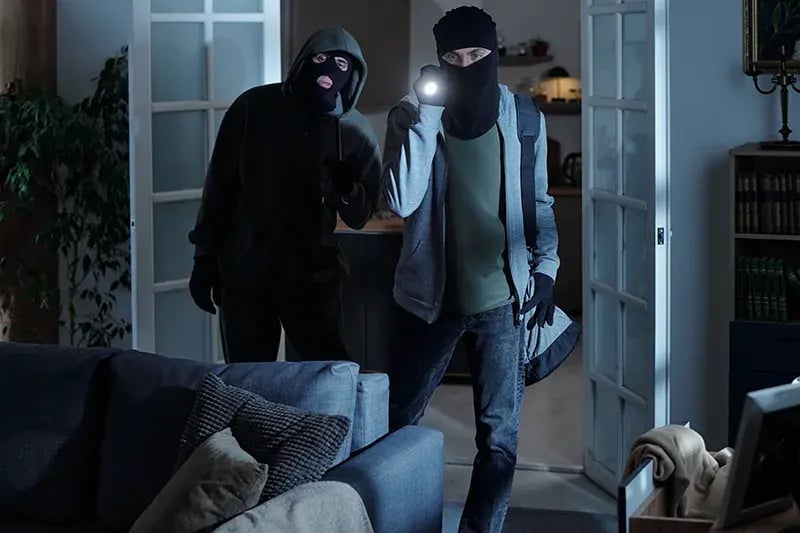 Two masked intruders inside a home, one carrying a flashlight during a burglary attempt