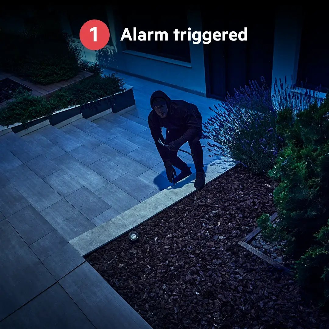 IMG 7 - Alarm triggered_1 copy