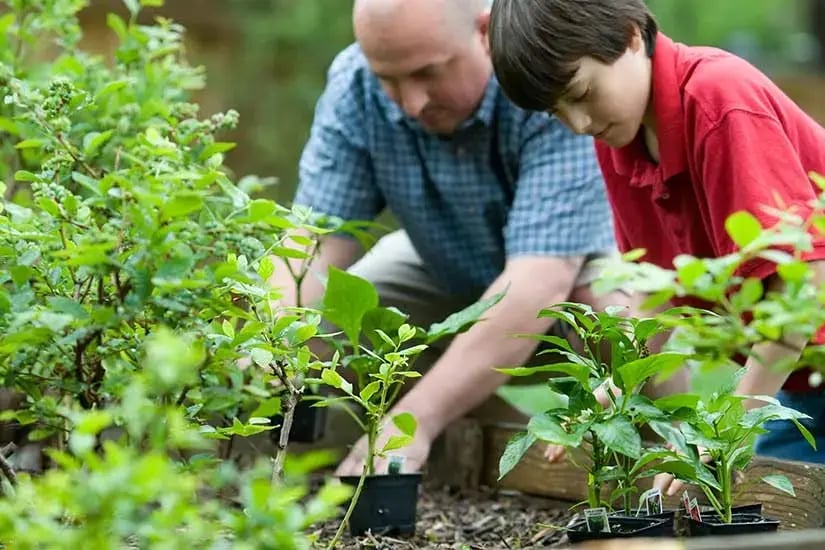 Top Tips to Keep Your Home Safe While You Are Gardening