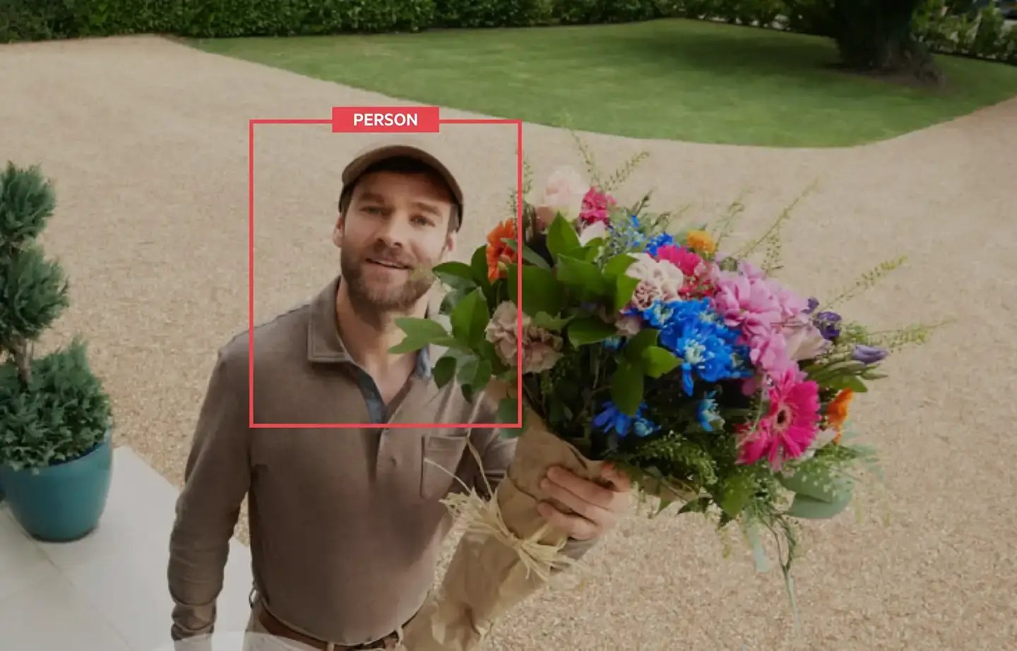 camera-web camera-web