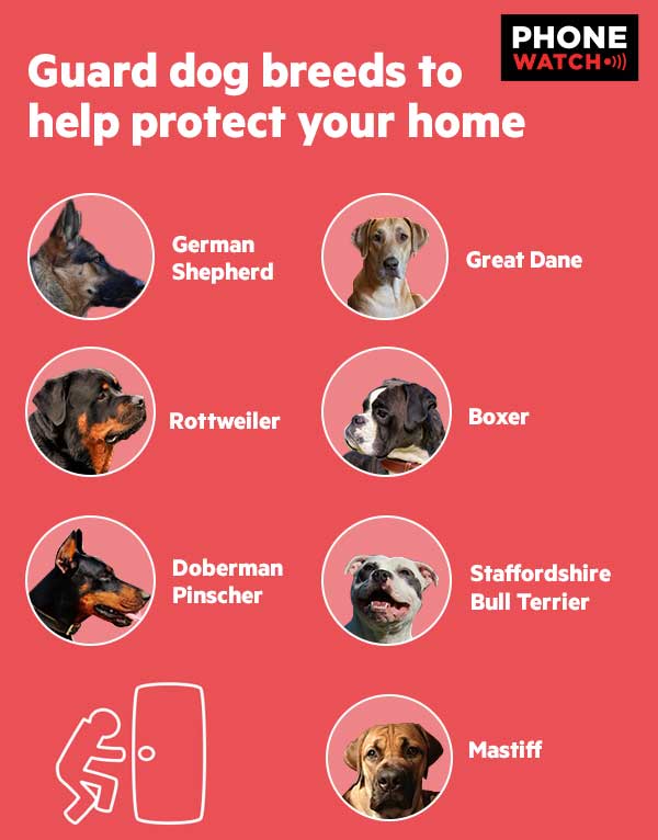 Best Guard Dog Breeds To Help Protect